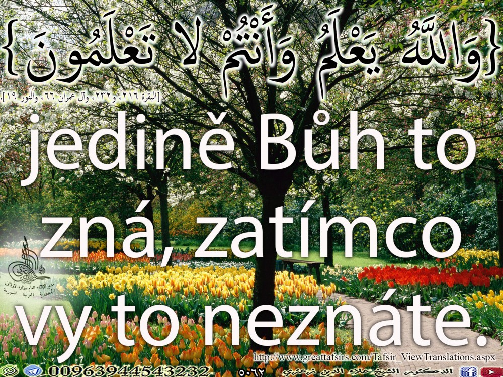 {وَاللَّهُ يَعْلَمُ وَأَنْتُمْ لا تَعْلَمُونَ} [البقرة 216، و232، وآل عمران 66، والنور 19].